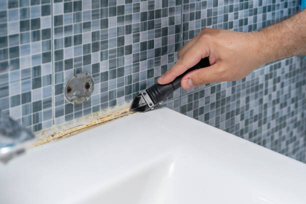 Best Local Mold Removal Service  in Babson Park, FL